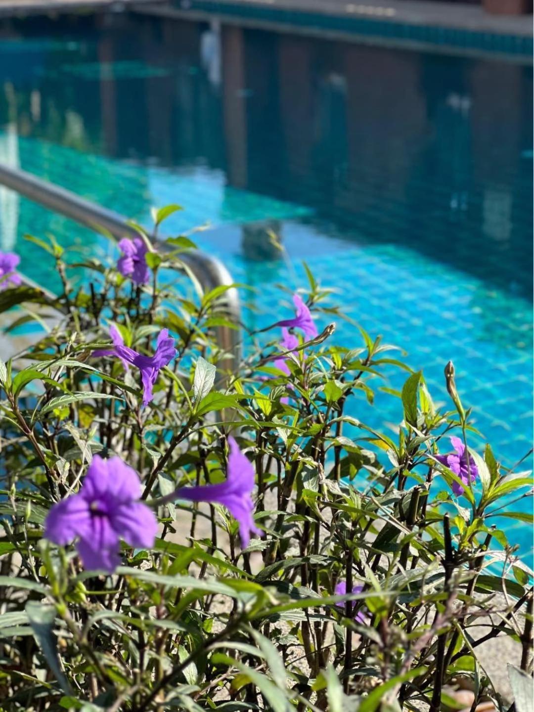 ホテル Pattara Mansion พัทยา パッタヤー エクステリア 写真